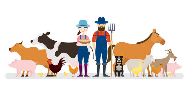 两个农民和狗与农场动物耕种农田农业产品