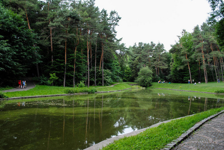 美丽的绿色植物园在索菲亚夫卡公园。 乌克兰令人难忘的美丽