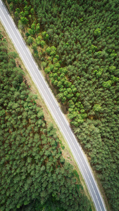 森林中有道路的美丽空中景观