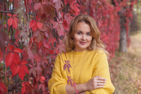 黄色套衫的年轻美丽的妇女走过秋季公园。红色的叶子。温暖, 舒适。红色头发的年轻妇女的秋季肖像