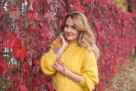 黄色套衫的年轻美丽的妇女走过秋季公园。红色的叶子。温暖, 舒适。红色头发的年轻妇女的秋季肖像