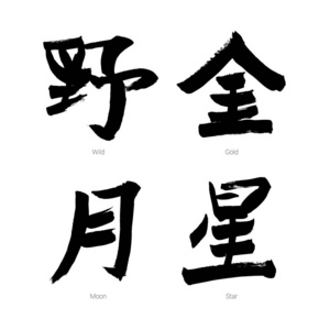 白色背景上分离的一组黑色中国象形文字。