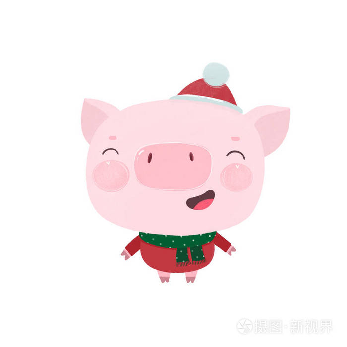 白色背景上的快乐小猪