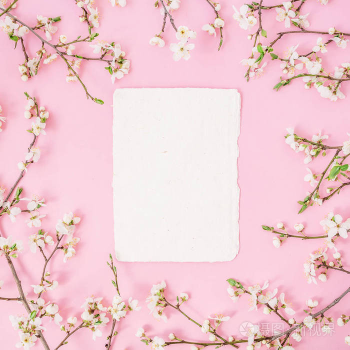花架与春天的花和纸卡上的粉彩背景。平躺，俯视。春天的背景。
