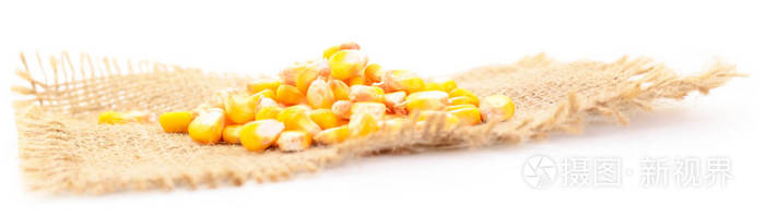 白色背景上分离的成熟玉米。
