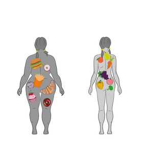健康的生活方式，健康的饮食和日常生活。 饮食。 女孩的选择肥胖或苗条。 健康的生活方式和坏习惯。