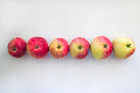 上面的彩色苹果，白色背景上的一排彩色苹果
