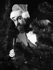 戴胡子的经理躲在秃头圣诞树后面