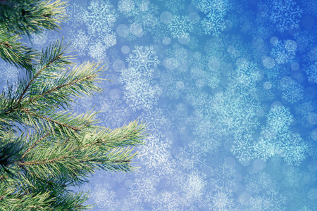 圣诞节背景与冷杉树枝灯雪花伯克。