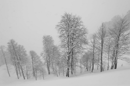 雪天雪天雪天雪天雪天雪天雪天雪天雪天雪天雪天雪天雪天雪天雪天雪天雪天雪天雪天雪天雪天雪天雪天雪天雪天雪天雪天雪天雪天雪天雪天雪天