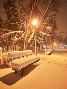 冬季城市公园的长凳。 充满了雪。 白雪覆盖的树。