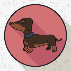 圆形按钮与可爱的达克顺德小狗在平面设计和长阴影装饰的骨头图案在背景。