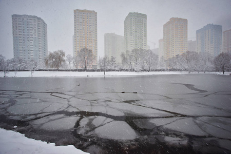 野鸭在河里。 公园里的冬天。 河岸上的雪堆。 一切都被雪覆盖了。 大雪后的一天下雪。