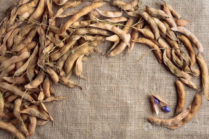 干豆荚健康有机食品顶部视图复制您的文本空间