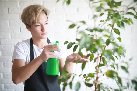 亚洲小男孩照料室内植物