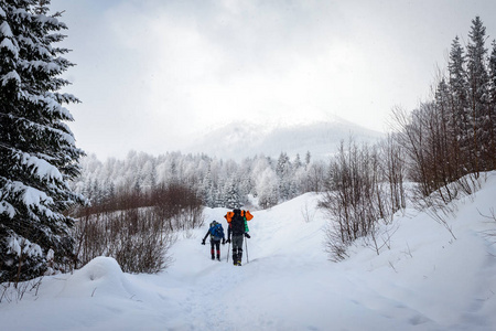 徒步旅行者带着背包在山上爬山。 在冬天的荒野里冒险。