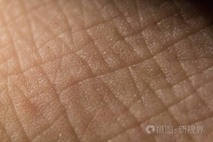 皮肤表面的手掌特写结构