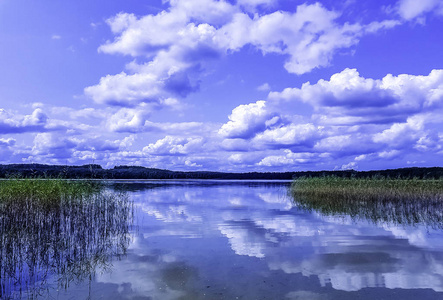 波兰自然波兰Kaszuby省Choczewo的Choczewskie湖景观