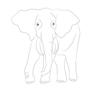 大象卷笔图图片