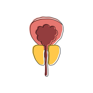 人类前列腺涂鸦vecto图标. 覆盖打印与偏移照片