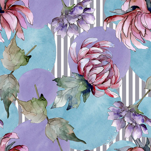 水彩彩色紫菀花。 花卉植物花。 无缝背景图案。 织物壁纸印花纹理。 背景纹理包装图案框架或边框的水花野花。