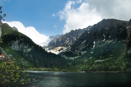 湖景和山景，前景有树枝