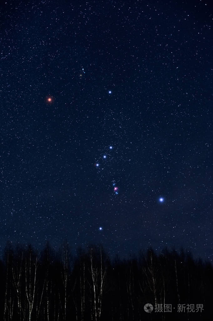 冬日白桦林上方的星空和猎户座