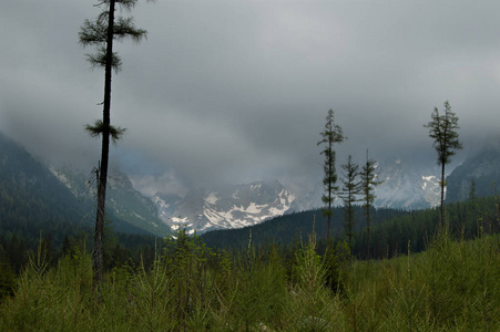 绿树和岩山的风景