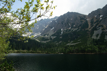 湖景和山景，前景有树枝