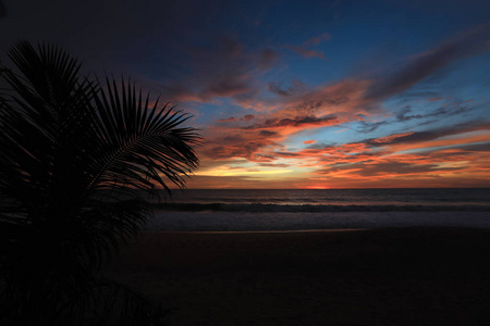 美丽夕阳下热带海滩棕榈树