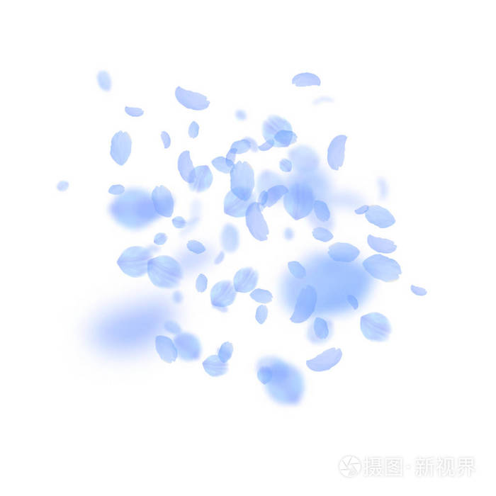 深蓝色的花瓣飘落.整洁 romanti