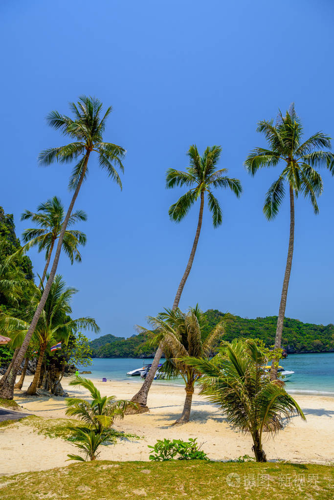泰国海湾国家公园暹罗棕榈和热带海滩