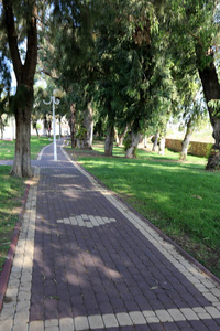 以色列北部城市公园的行人路