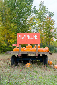 秋天在美国农村的南瓜车在Hallloween附近。
