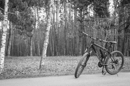 自行车在森林路上。 自行车轮胎踩在近距离的森林背景上。 在春天骑自行车。 穿过森林的自行车路线。 春夏休闲。 运动爱好。 在新鲜
