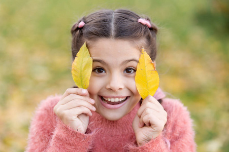 小孩子与秋天叶子.快乐的童年.学校时间.秋天的叶子和自然.