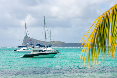 非洲天堂捕蝇草快艇和游艇在水中,船在水中靠近毛里求斯海滩,海浪在