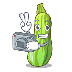 摄影师新鲜绿色西葫芦卡通盒矢量插图照片