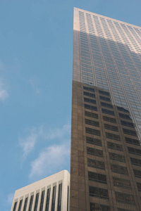 城市高楼大厦概况图片