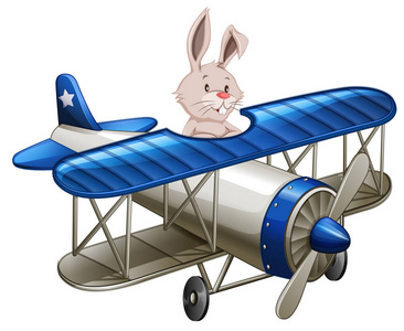 兔子骑飞机插图