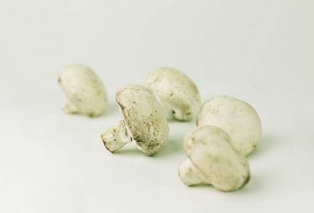 鲜褐色香菇蘑菇在白色背景下分离