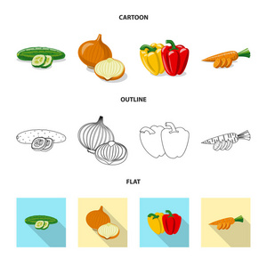 蔬菜和水果标志的孤立对象。 收集蔬菜和素食库存矢量插图。