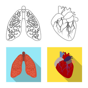 人体和人体图标的矢量图示。一套身体和医疗股票向量例证