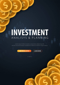投资回报率，投资回报率，市场和金融，投资交易，硬币和烛棒图的背面