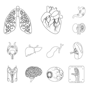 人体和人类标志的孤立对象。一套身体和医疗股票向量例证