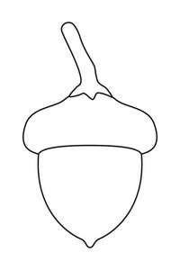 橡果图片-橡果素材-橡果插画-摄图新视界