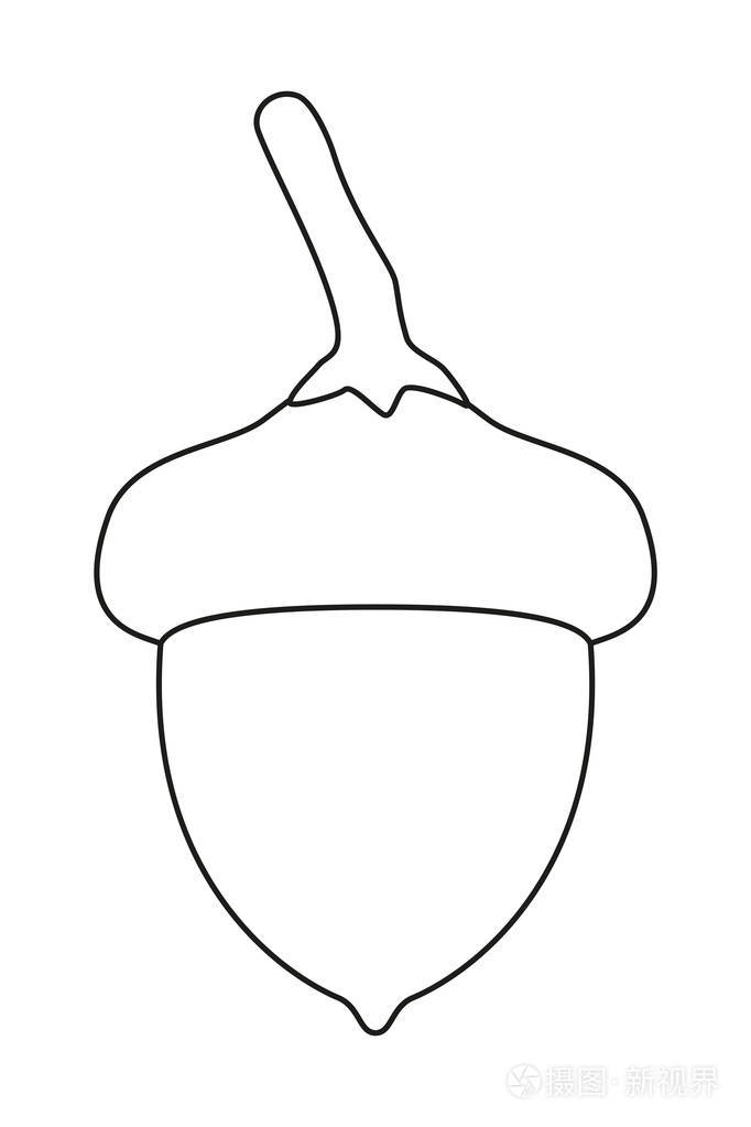 线条艺术黑白橡果插画-正版商用图片13go70-摄图新视界