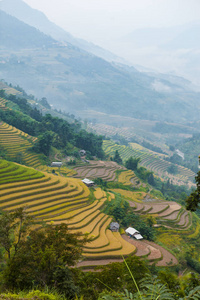 梯田上的稻田。 田地准备种植水稻。 黄苏菲哈江省。 越南北部