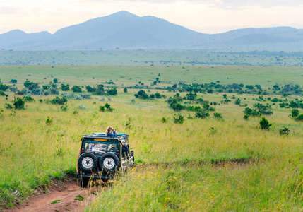 非洲狩猎吉普车行驶在马赛马拉和塞伦盖蒂国家公园的绿色草原与蓝天。 游客驾驶吉普车在肯尼亚和坦桑尼亚东部非洲狩猎，观看动物。