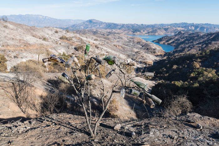 收集的玻璃瓶和托马斯在加州奥贾伊卡西塔斯湖周围的山丘火灾损坏的看法